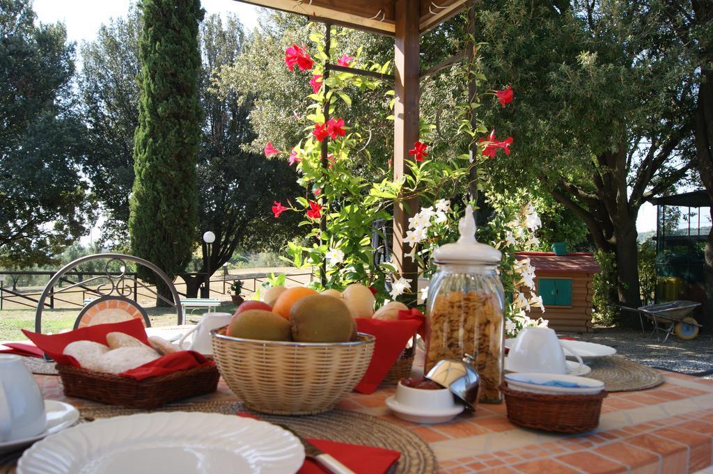 Agriturismo Spazzavento Vecchiano Exterior foto